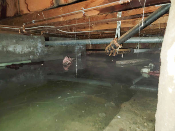 Best Local water damage restoration  in Long Beach, NY
