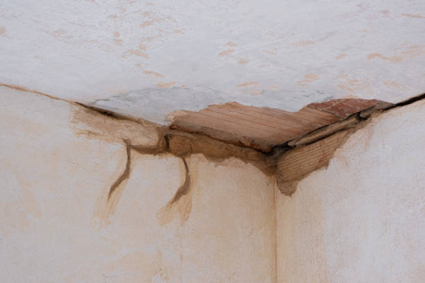 Best Ceiling water damage repair  in Long Beach, NY