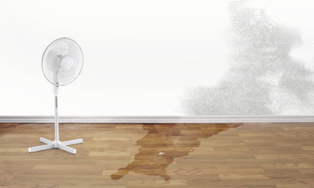Best Water damage restoration near me  in Long Beach, NY