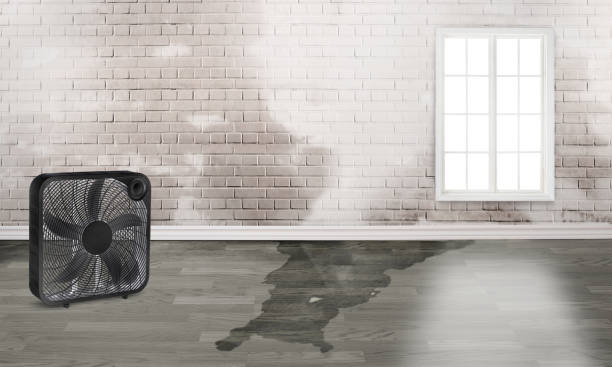 Best Flood damage cleanup  in Long Beach, NY