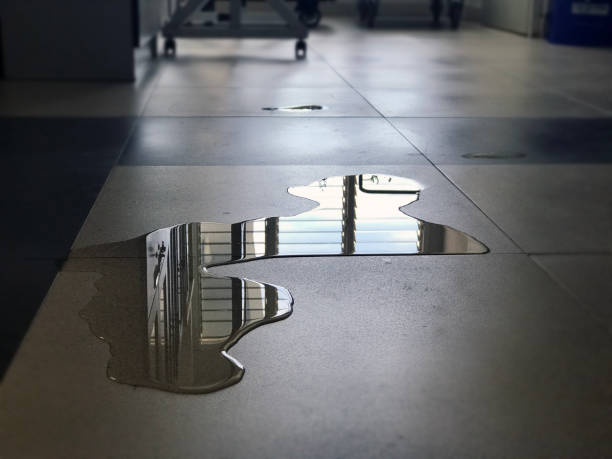 Best Water damage restoration near me  in Long Beach, NY