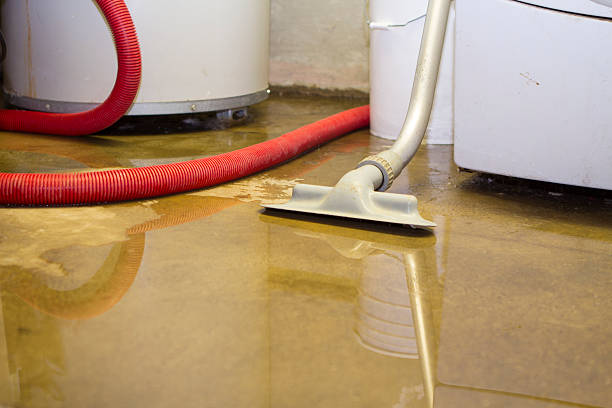 Best Basement water damage restoration  in Long Beach, NY
