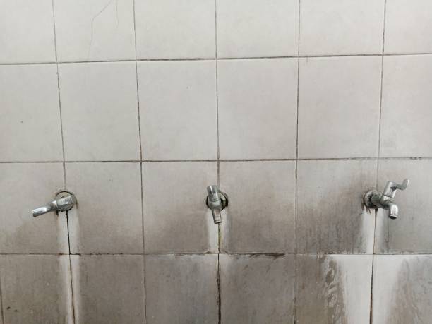 Best Water damage cleanup near me  in Long Beach, NY